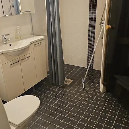 Suviheinae 아파트 로바니에미