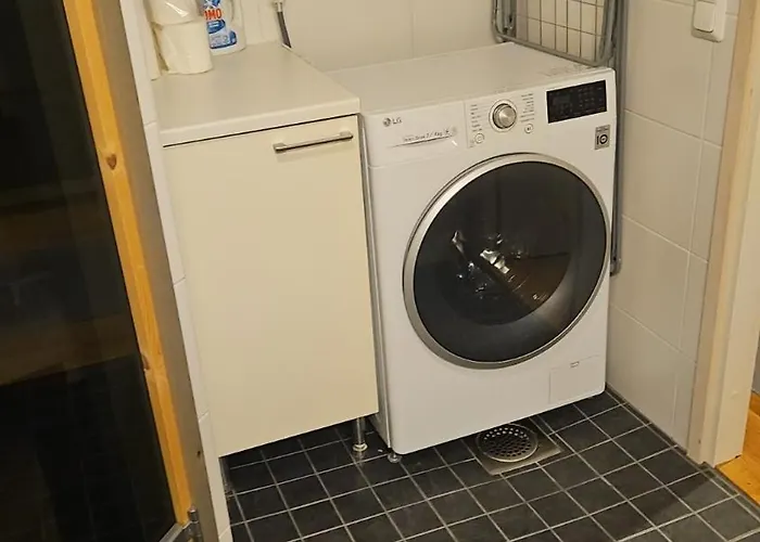 Suviheinae Rovaniemi